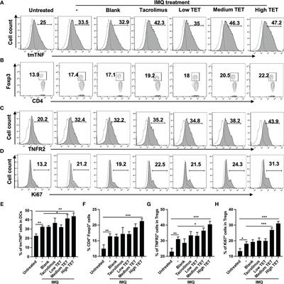 Topical Application of Tetrandrine Nanoemulsion Promotes the Expansion of CD4+Foxp3+ Regulatory T Cells and Alleviates Imiquimod-Induced Psoriasis in Mice